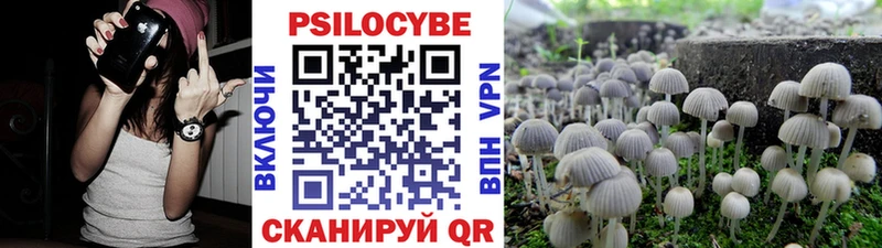 Псилоцибиновые грибы GOLDEN TEACHER  наркотики  Белореченск 